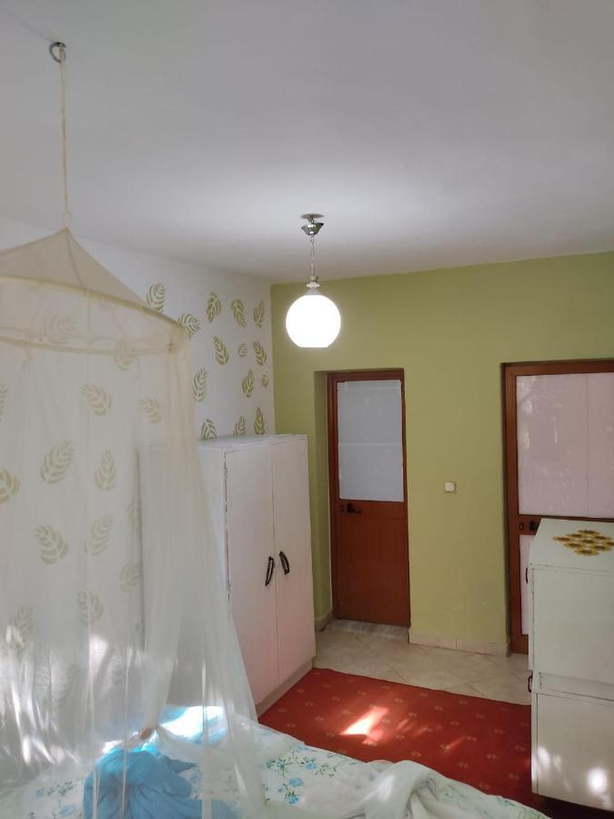 Private Apartment Elbasan Historic Center Kültér fotó