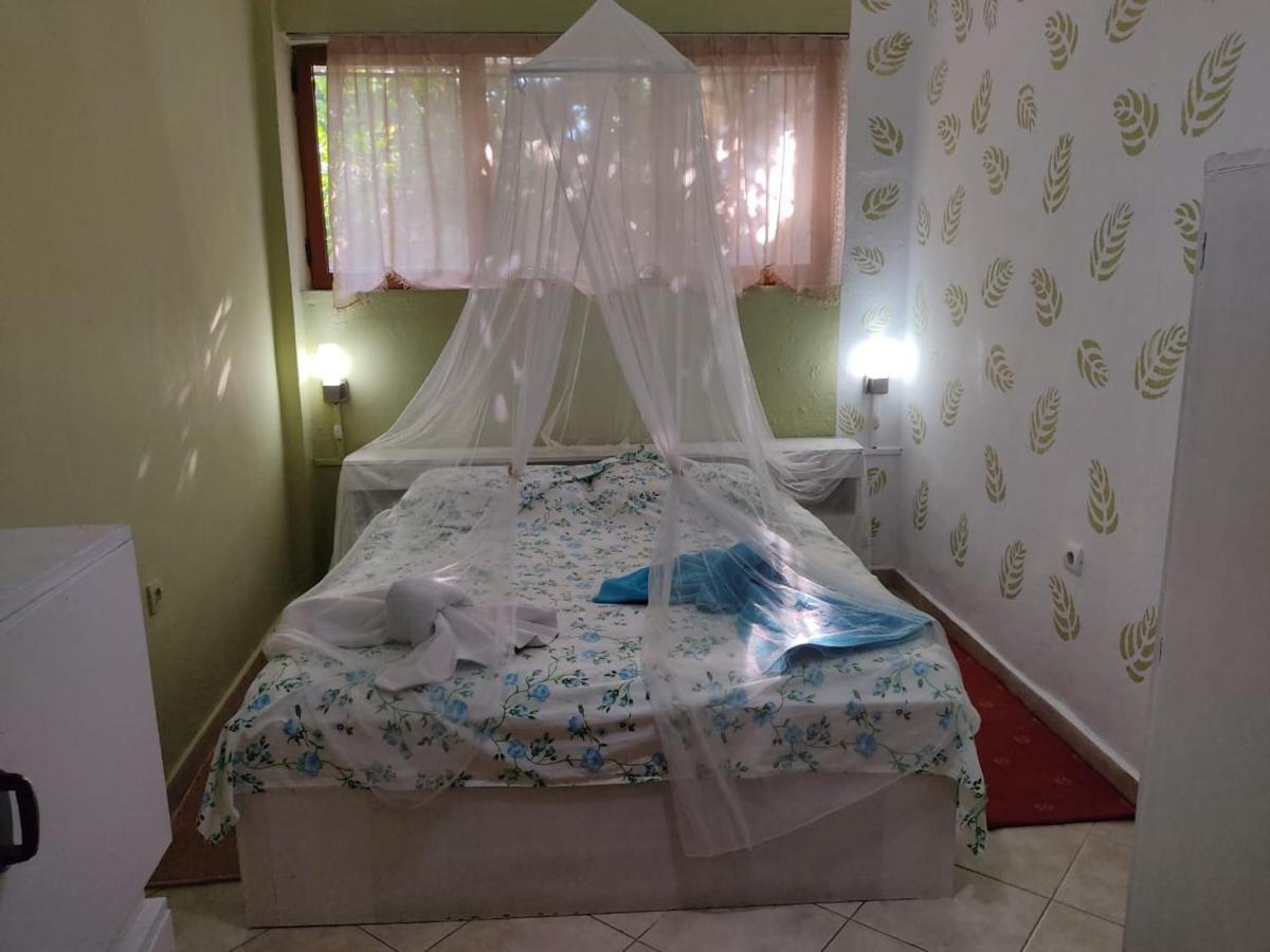 Private Apartment Elbasan Historic Center Kültér fotó