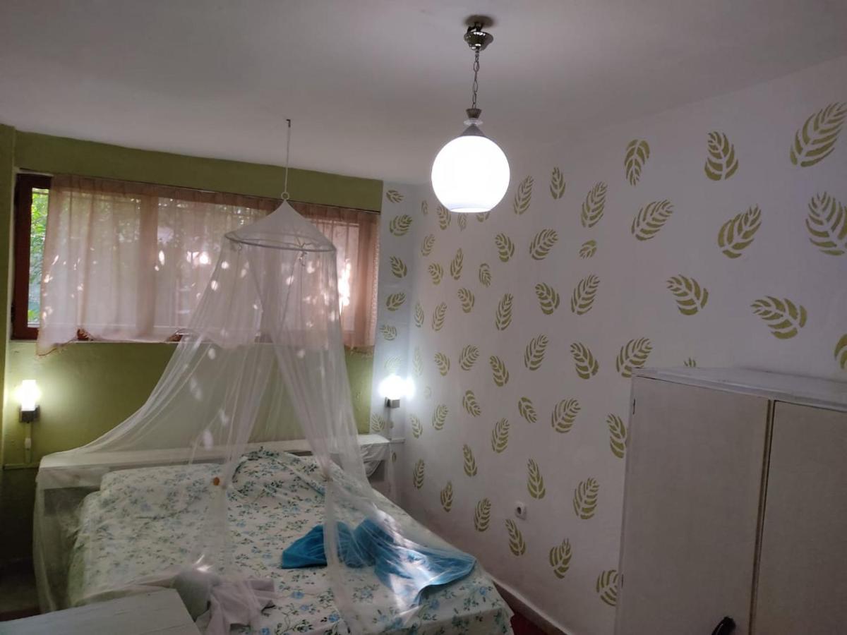 Private Apartment Elbasan Historic Center Kültér fotó