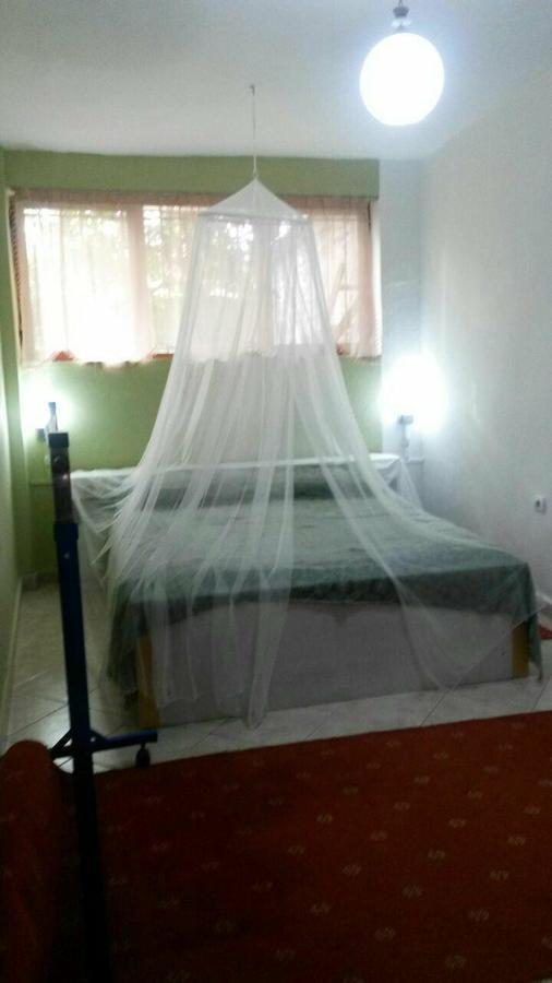Private Apartment Elbasan Historic Center Kültér fotó