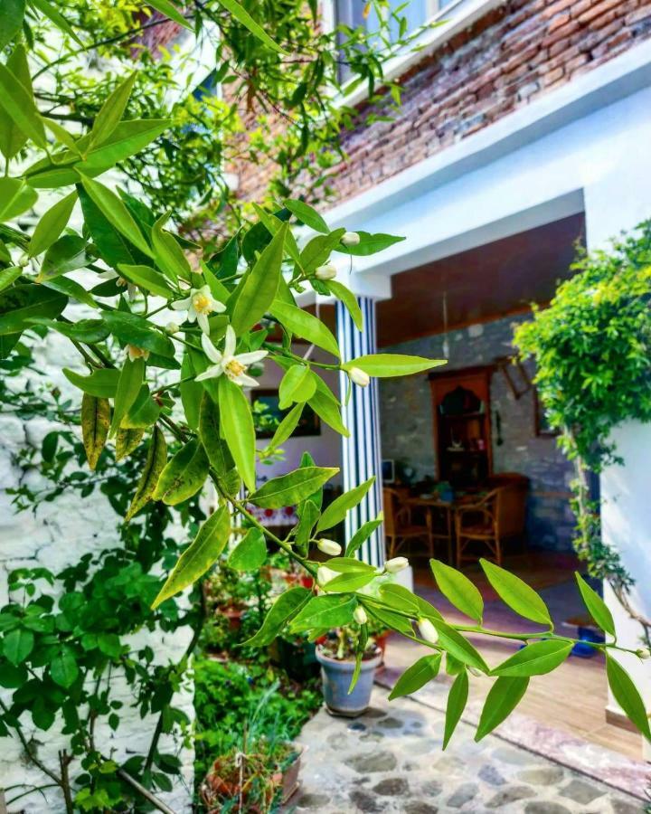 Private Apartment Elbasan Historic Center Kültér fotó